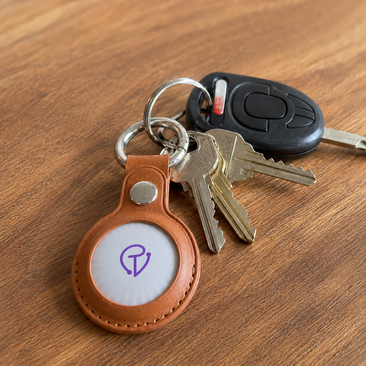 Tracker Mist on keys with leather key ring case